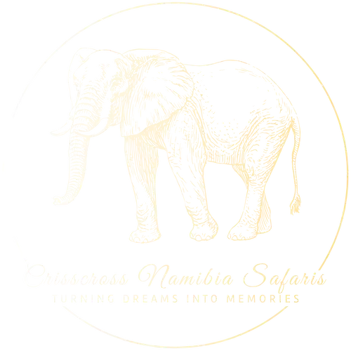 Crisscross Namibia Safaris logo
